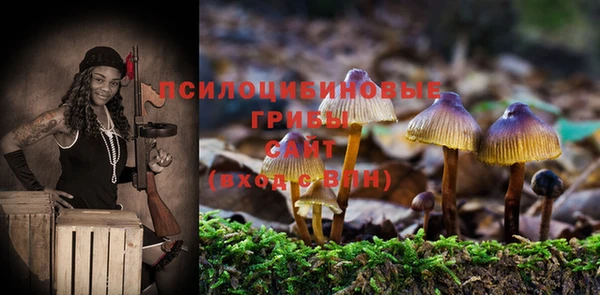 ГАЛЛЮЦИНОГЕННЫЕ ГРИБЫ Арсеньев
