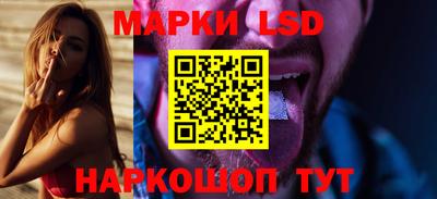 спайс Кингисепп
