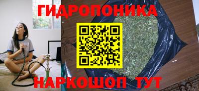 каннабис Кимры