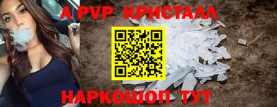 спайс Кингисепп
