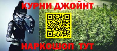 спайс Кингисепп