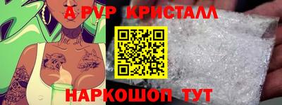 спайс Кингисепп