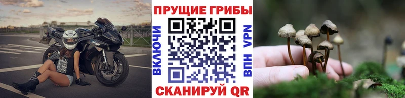 Псилоцибиновые грибы мухоморы  Тобольск 