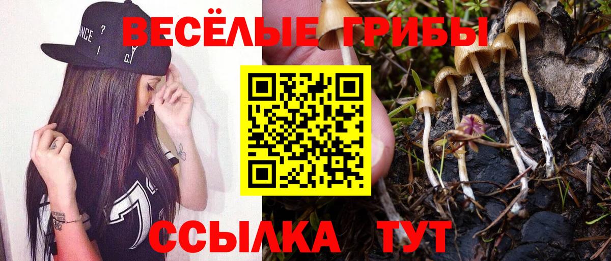 Псилоцибиновые грибы мухоморы Тобольск