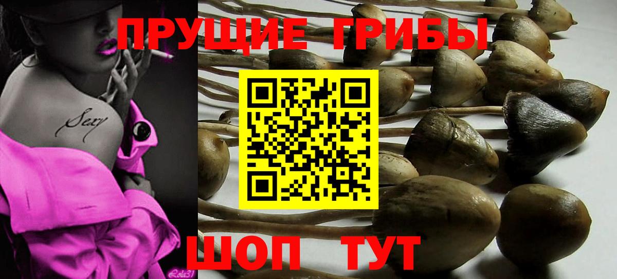 Тобольск  Псилоцибиновые грибы Magic Shrooms  Вход с VPN  Псилоцибиновые грибы Magic Shrooms 